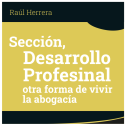 DesarrolloProfesional